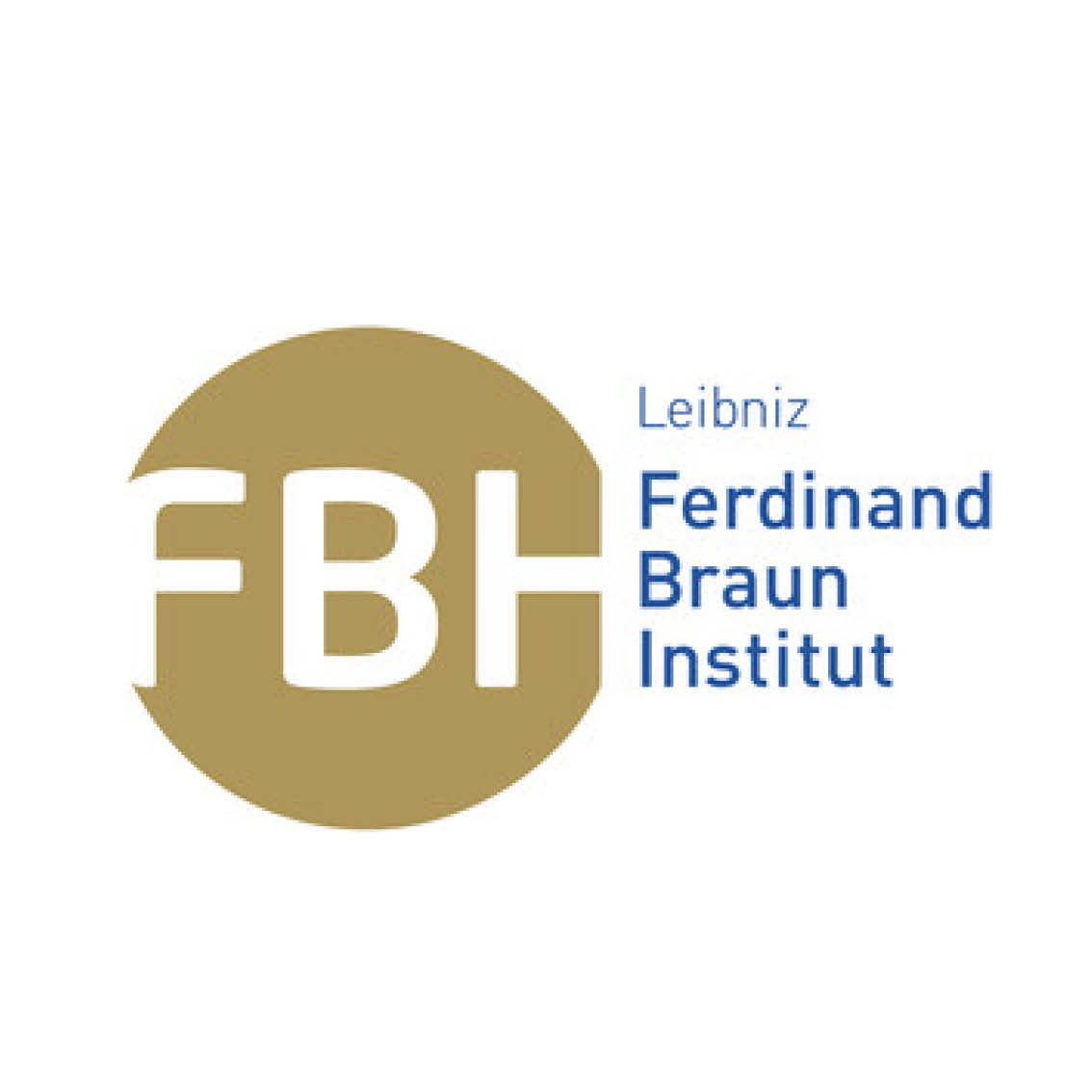 Logo Ferdinand-Braun-Institut